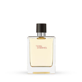 تغ هرمس | Terre d'Hermes Hermes